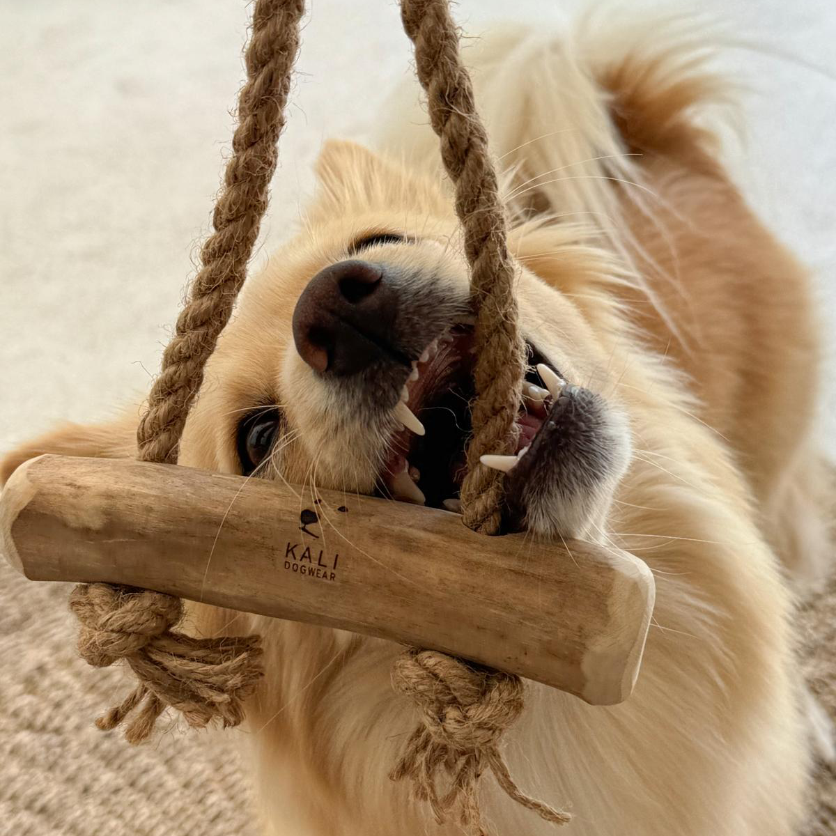 Coffee Wood Chews