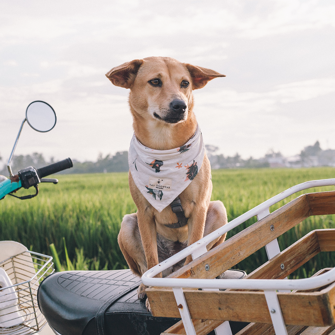 Bandana "The Bali Dogs"