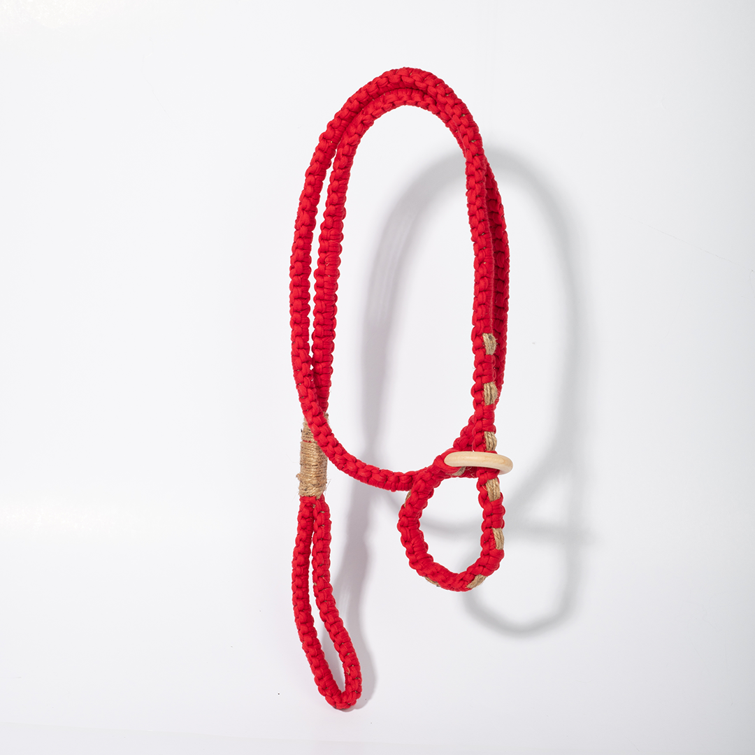 2-in-1 Thomas Leash