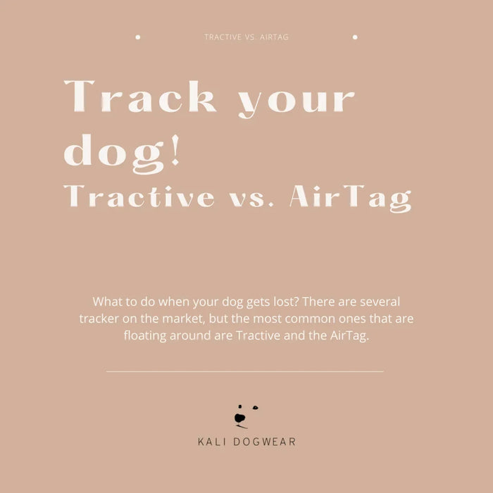 Which tracker works best in Bali? Airtag vs Tractive