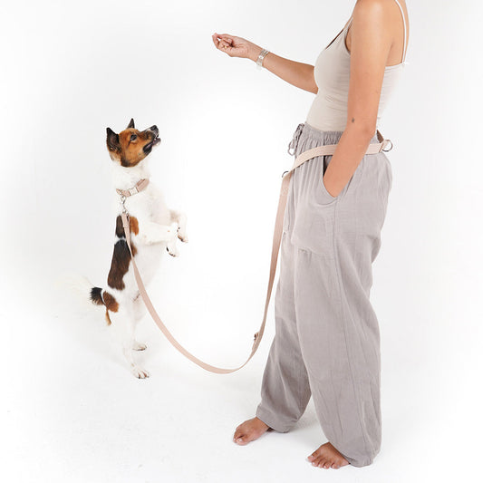Leash "Handsfree"