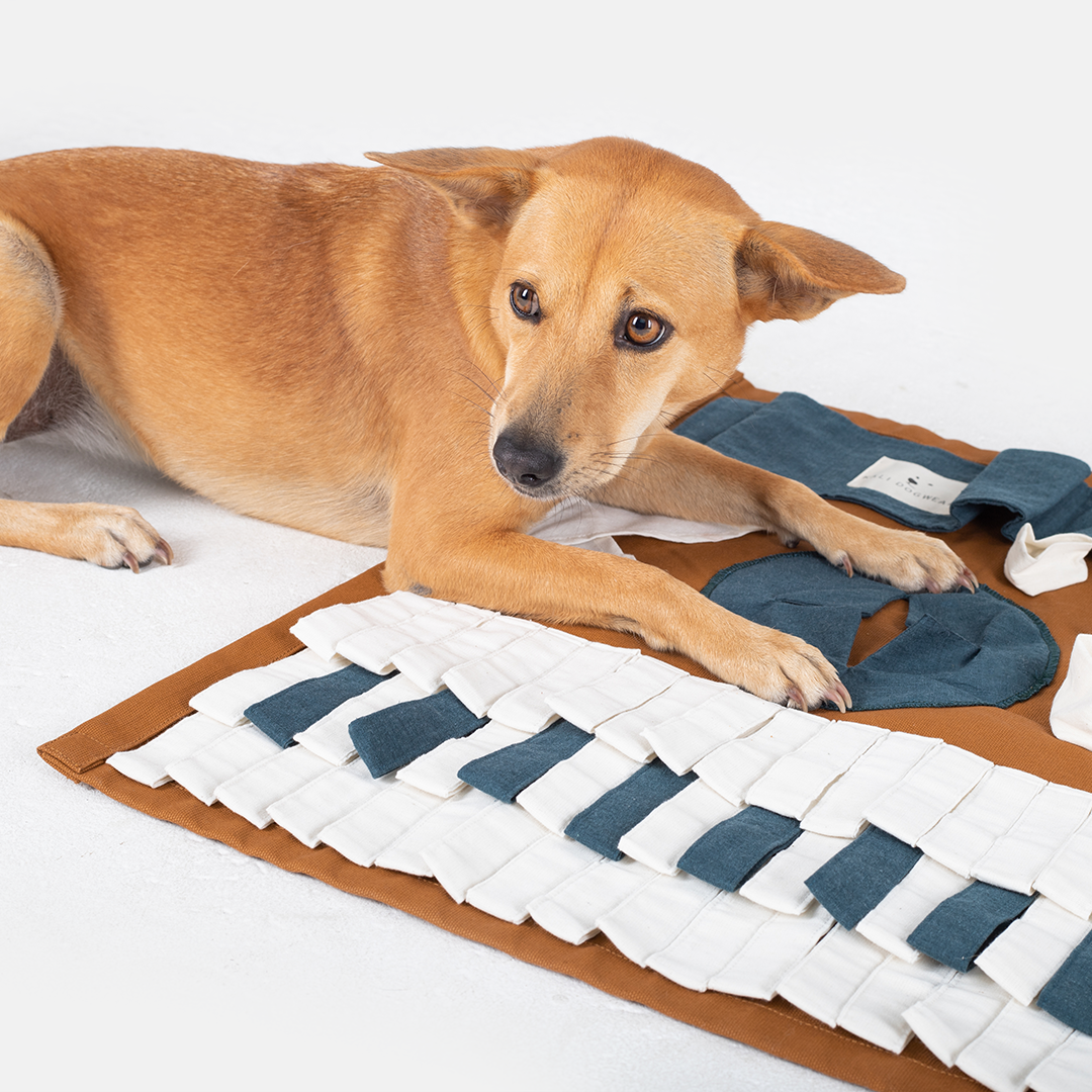 Sniff Rug Square