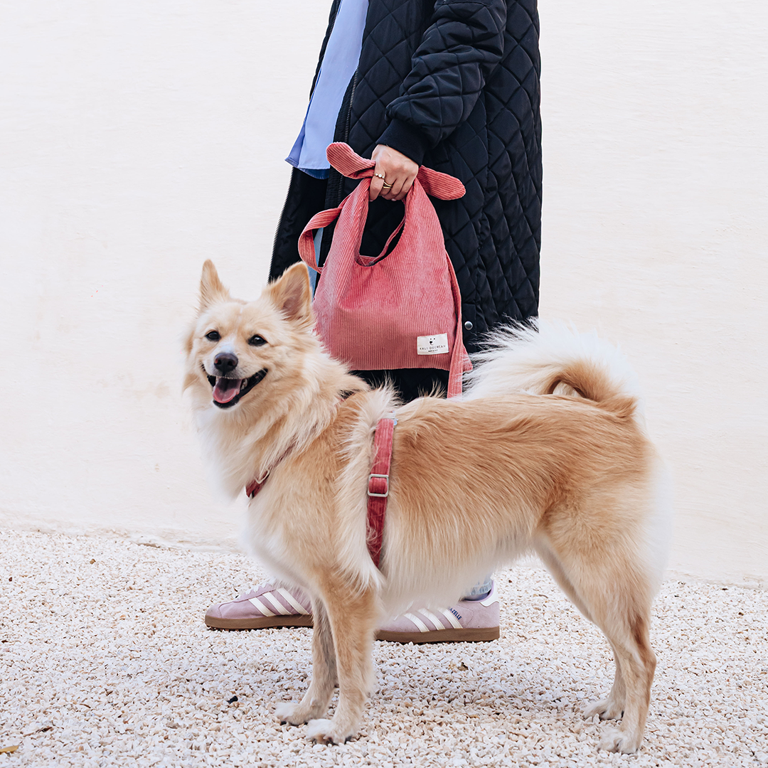 Dog Harness "The Senja"