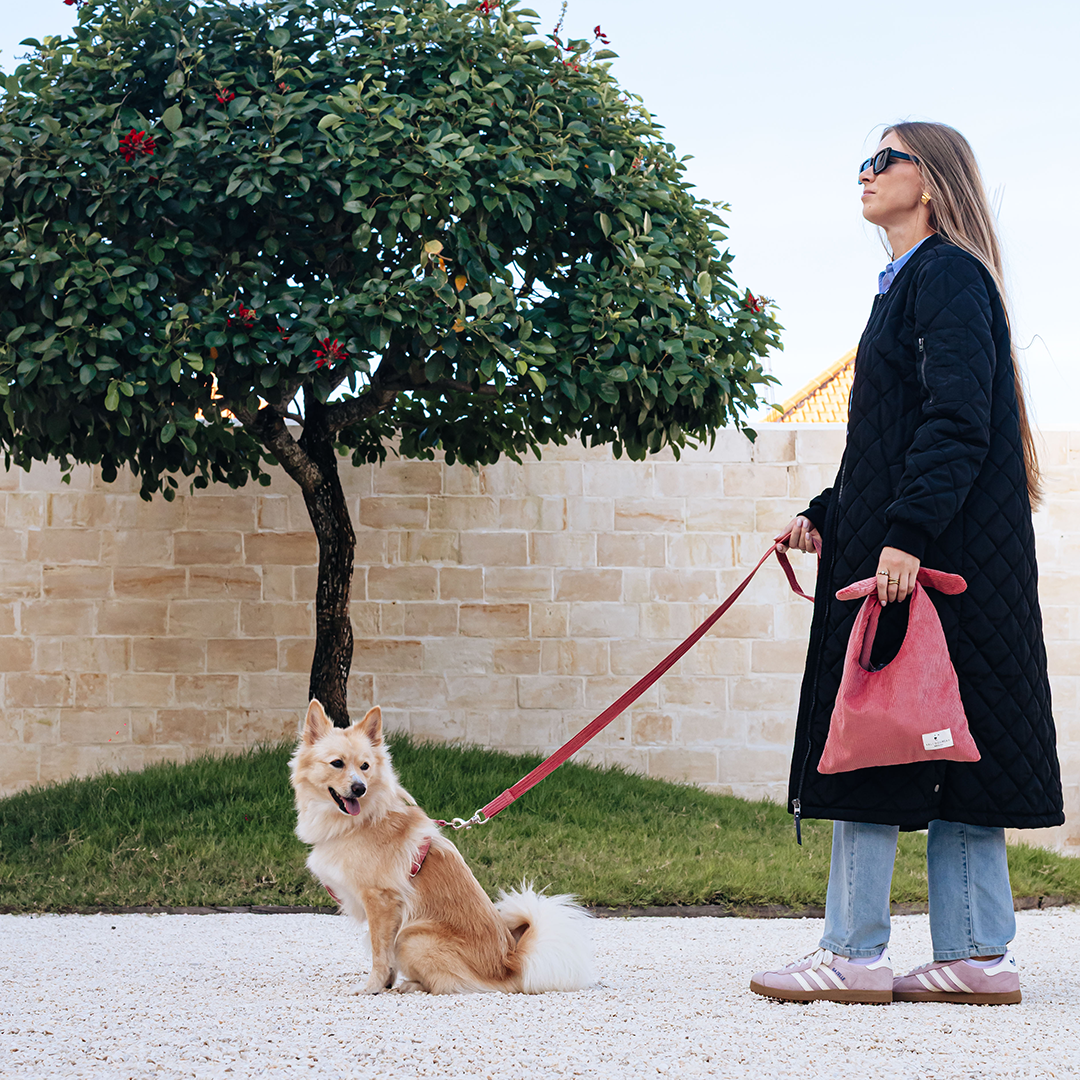 Dog Harness "The Senja"
