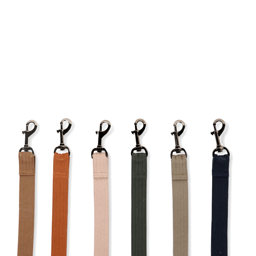 Leash "Simple Life"
