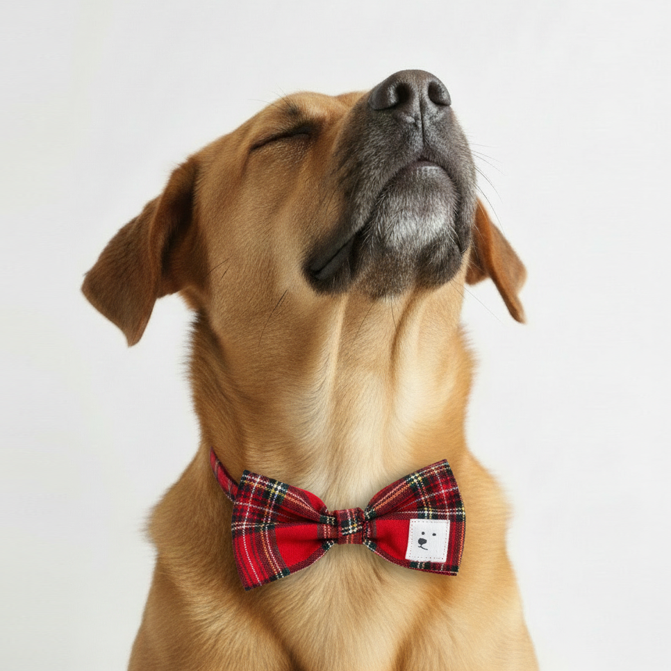 Bow Tie "Mulled Wine"