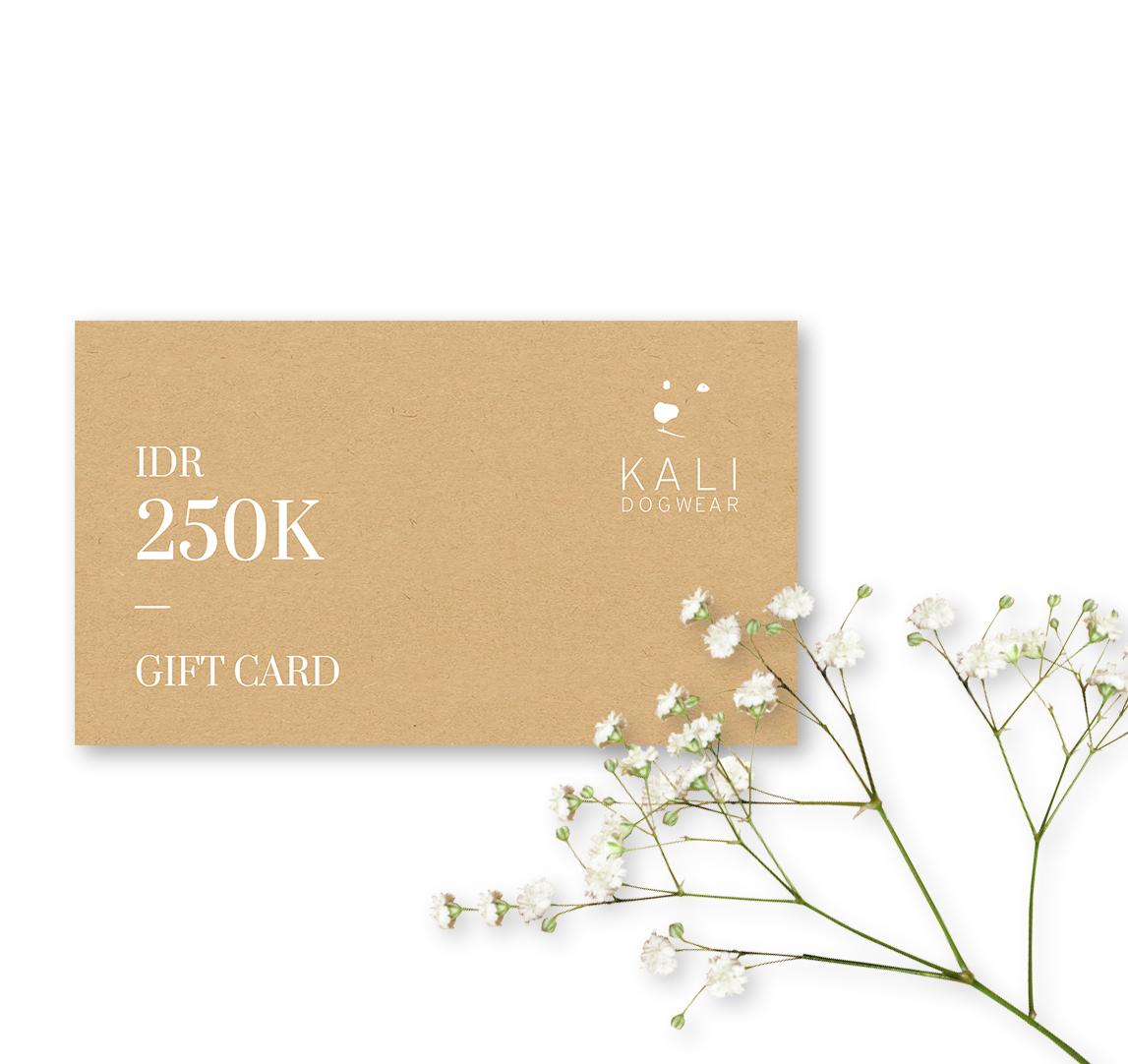 Gift Card Digital