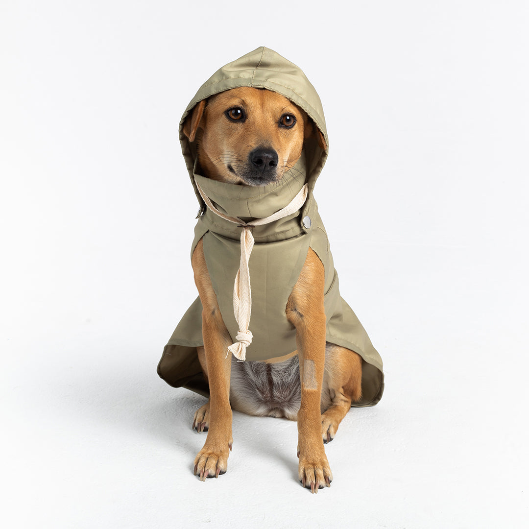NEW Raincoat