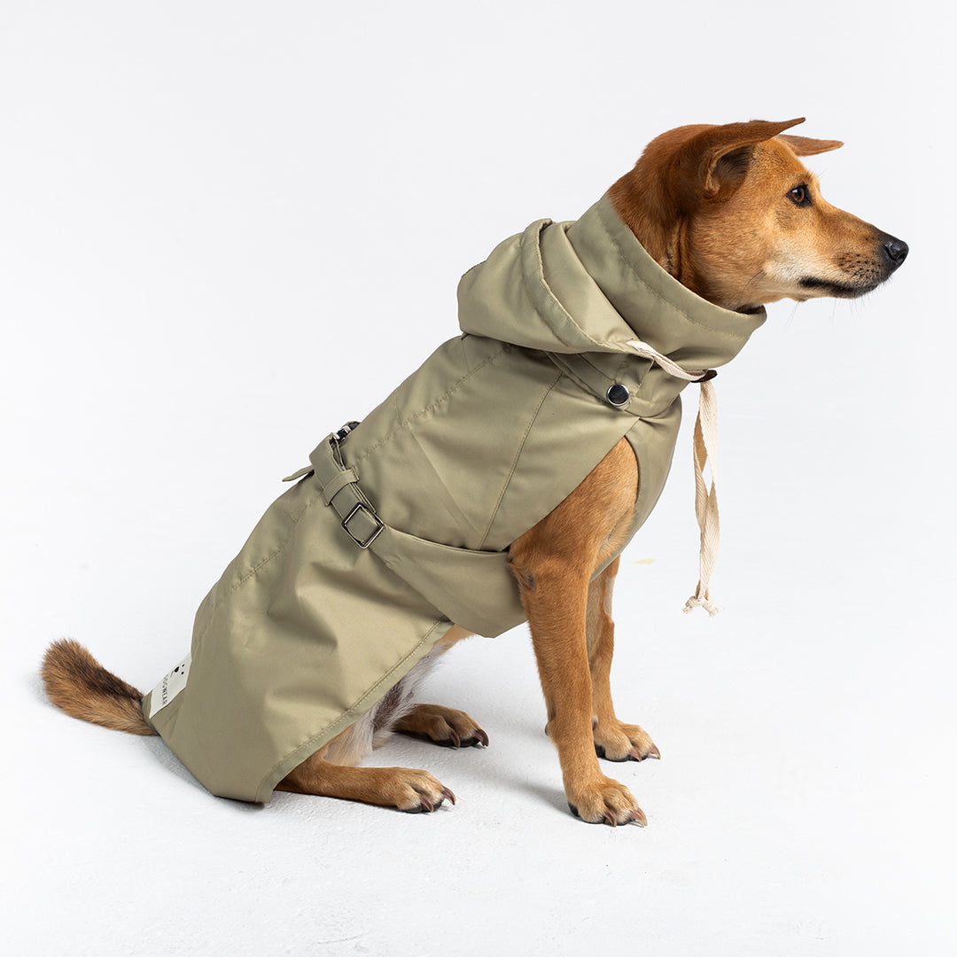 NEW Raincoat