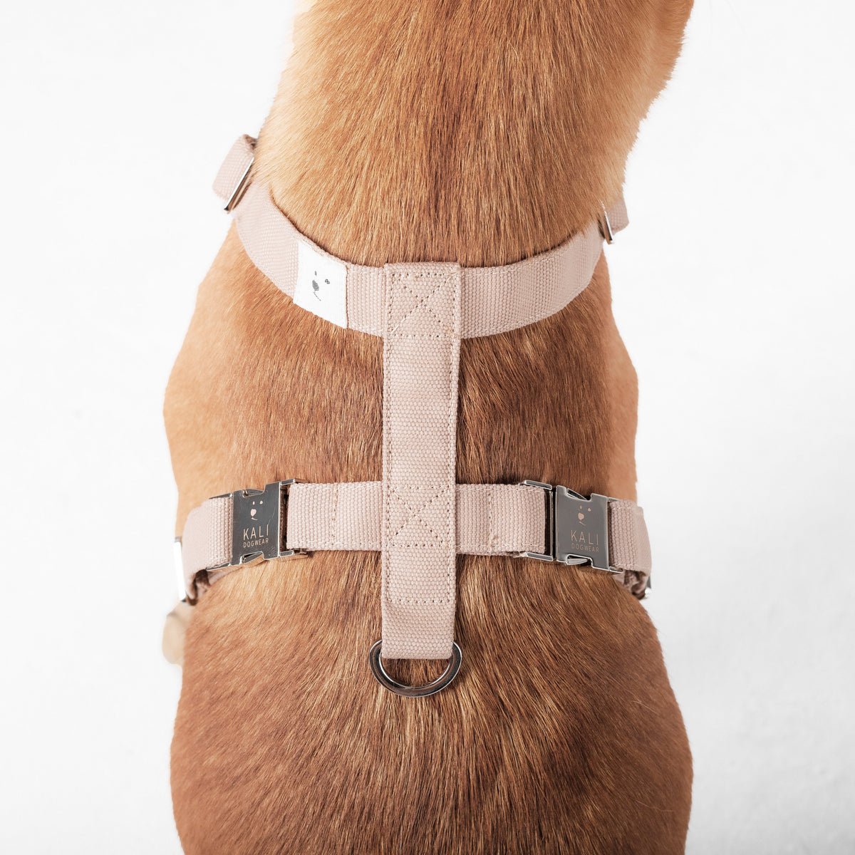 Dog Harness