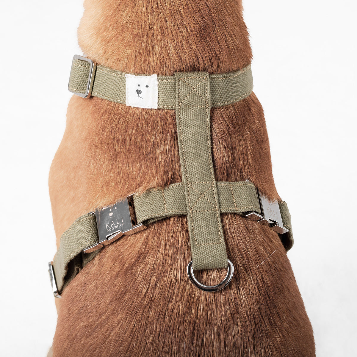 Dog Harness