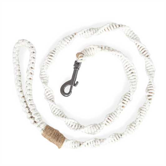 Sumatra Leash
