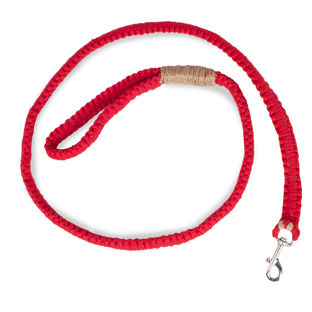 Leash "Thomas"