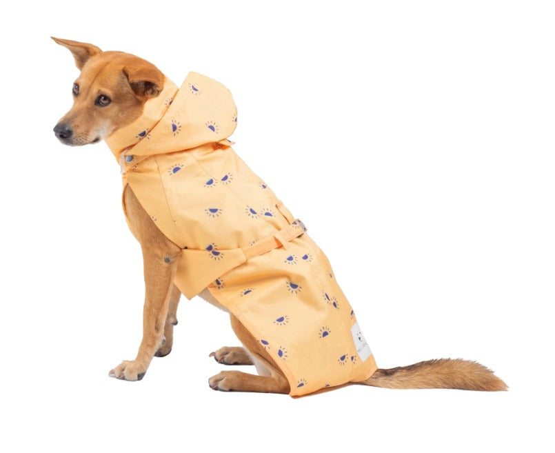 NEW Raincoat