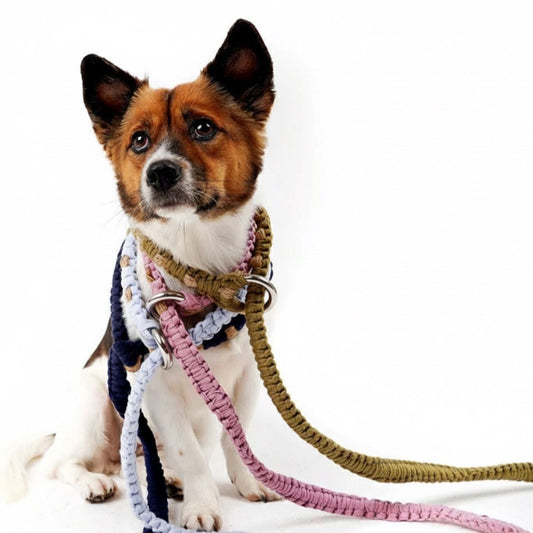 2-in-1 Thomas Leash