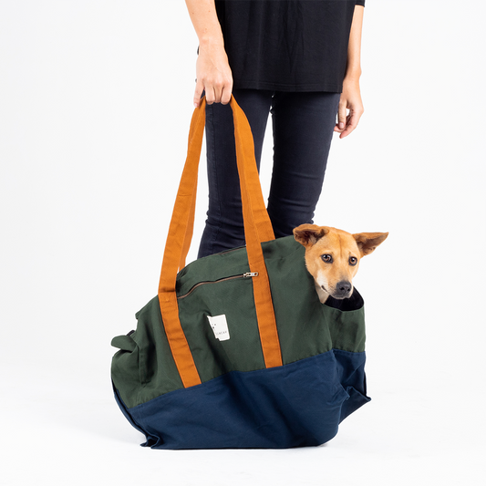 Dog Carrier