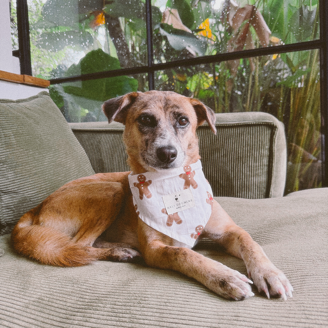 Bandana "Ginger Bread Man"