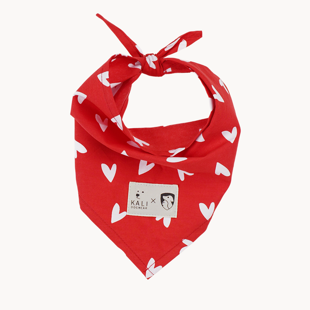 Bandana "Love is Love"