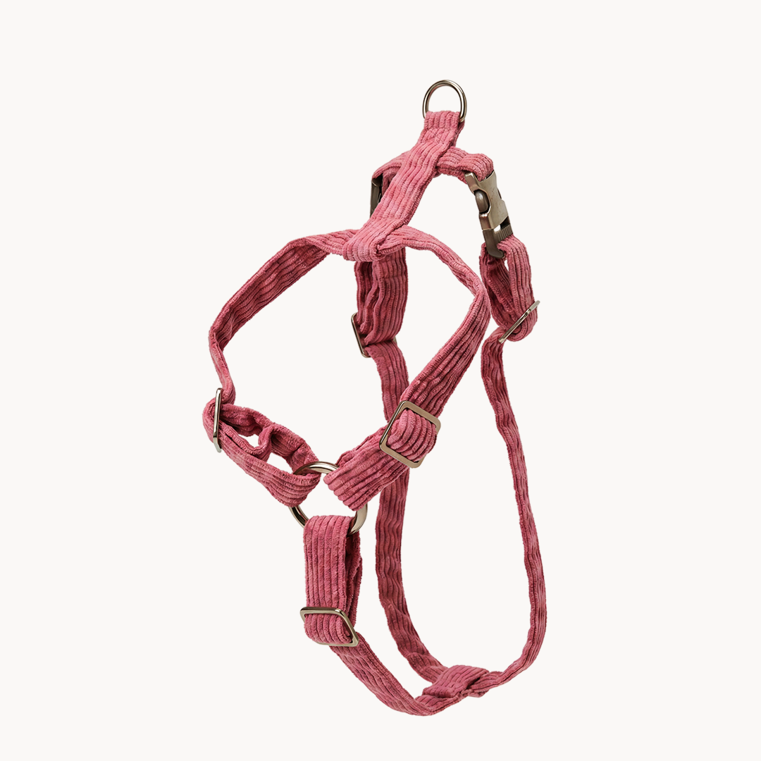 Dog Harness "The Senja"