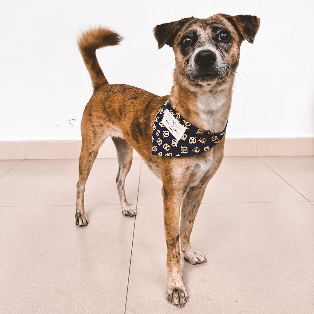 Bandana "Pretzel"