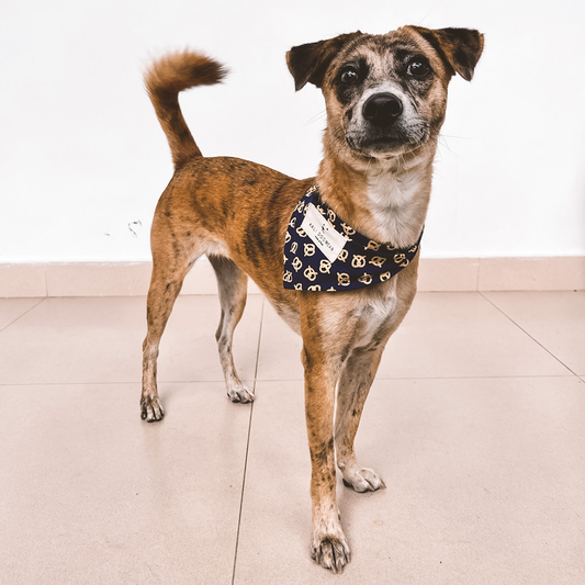 Bandana "Pretzel"