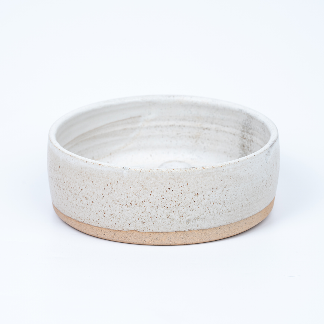 Slow Feeder Dog Bowl