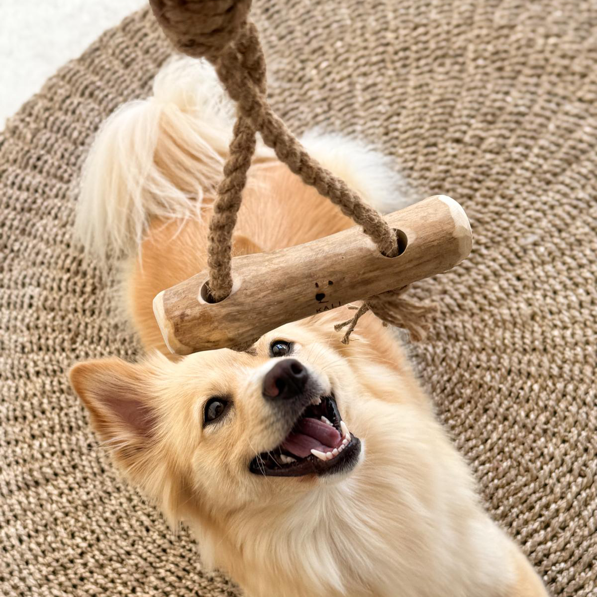 Coffee Wood Chews
