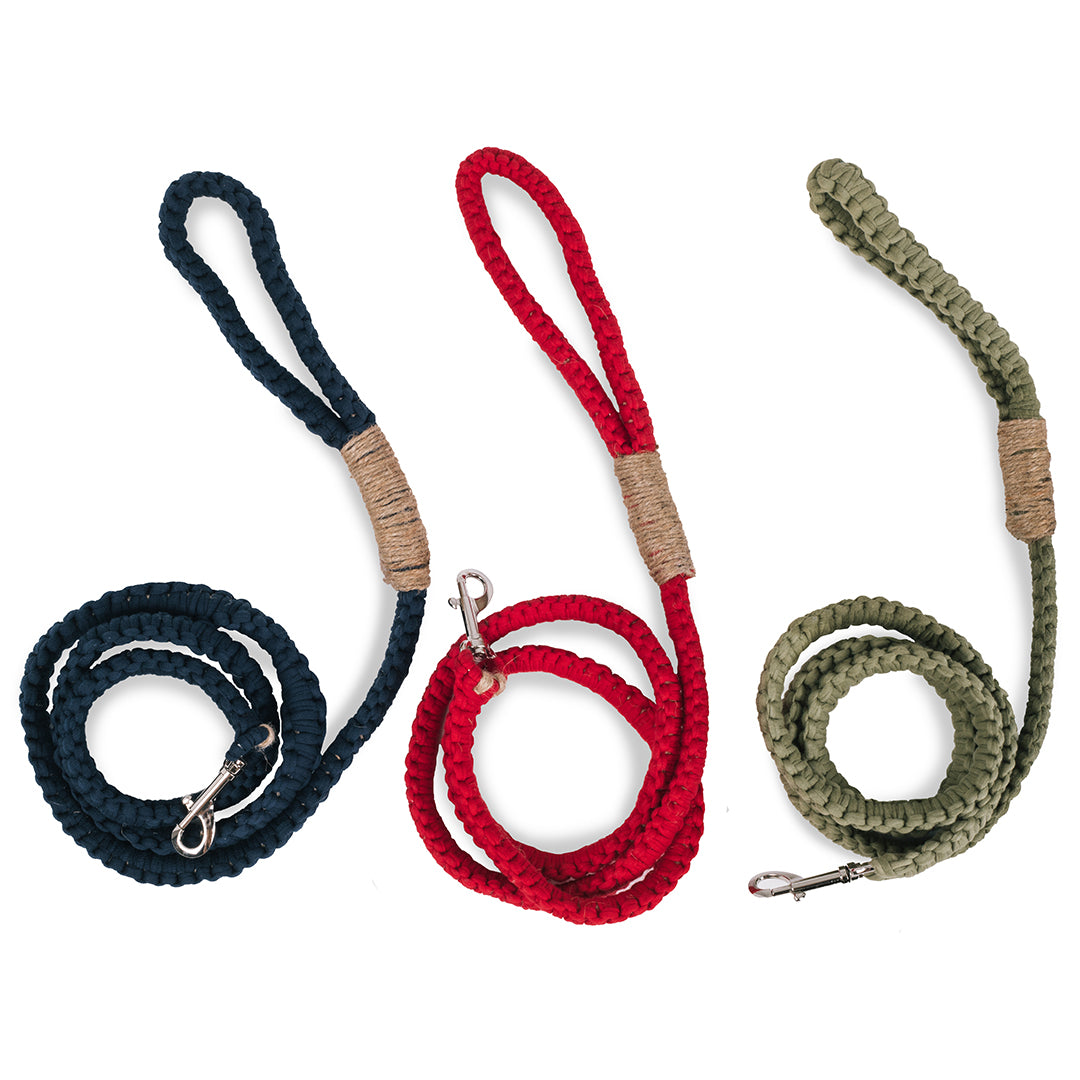 'Thomas' Leash